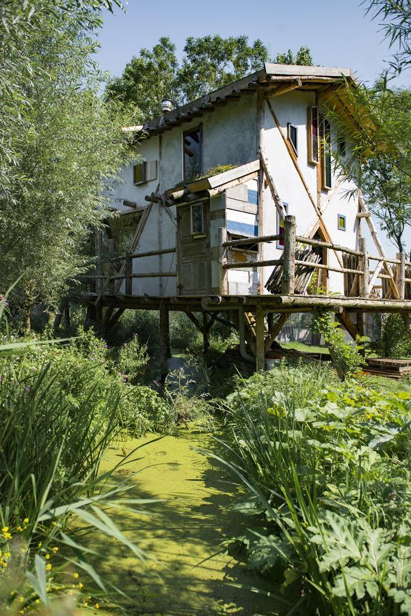 Reijgershof Bed & Breakfast Amsterdam Eksteriør bilde